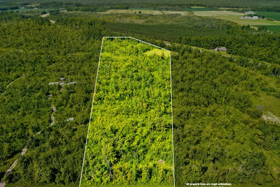 V/L 10 AC Farrier Road, Hillman, MI 49746 - #2
