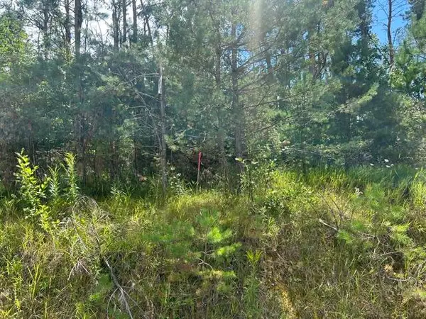 Parcel 5 W Mccoy Road, Gaylord, MI 49735