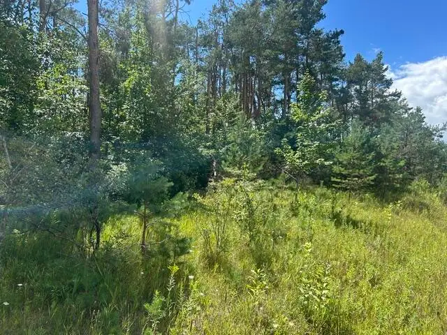 Parcel 5 W Mccoy Road, Gaylord, MI 49735 - #3