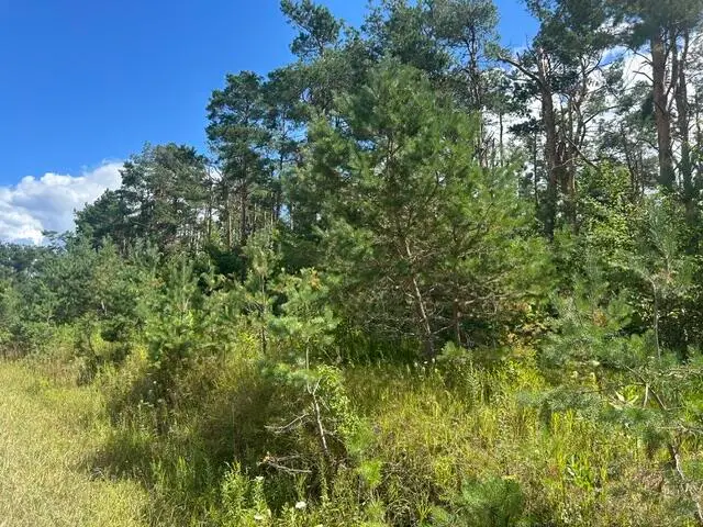 Parcel 6 W Mccoy Road, Gaylord, MI 49735 - #3