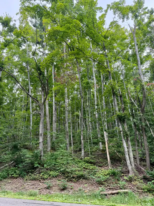 200 Beaux Rivages Drive, Harbor Springs, MI 49740