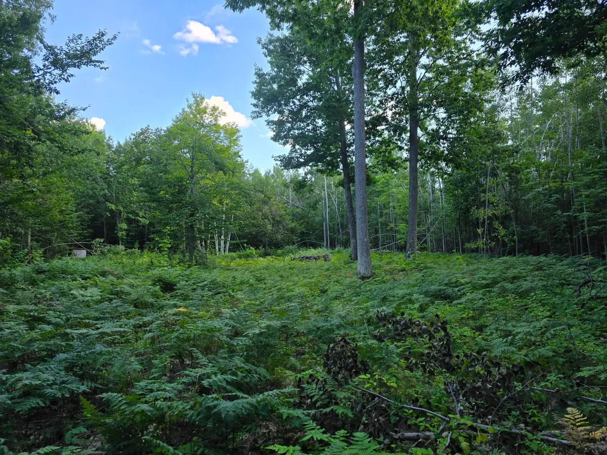 2926 White Oak Trail, Cheboygan, MI 49721 - #1