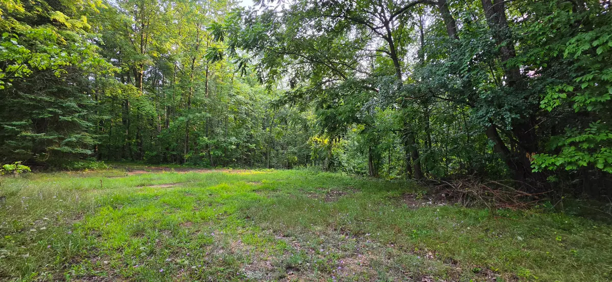 7925 Michigan 18, Gladwin, MI 48624 - #1