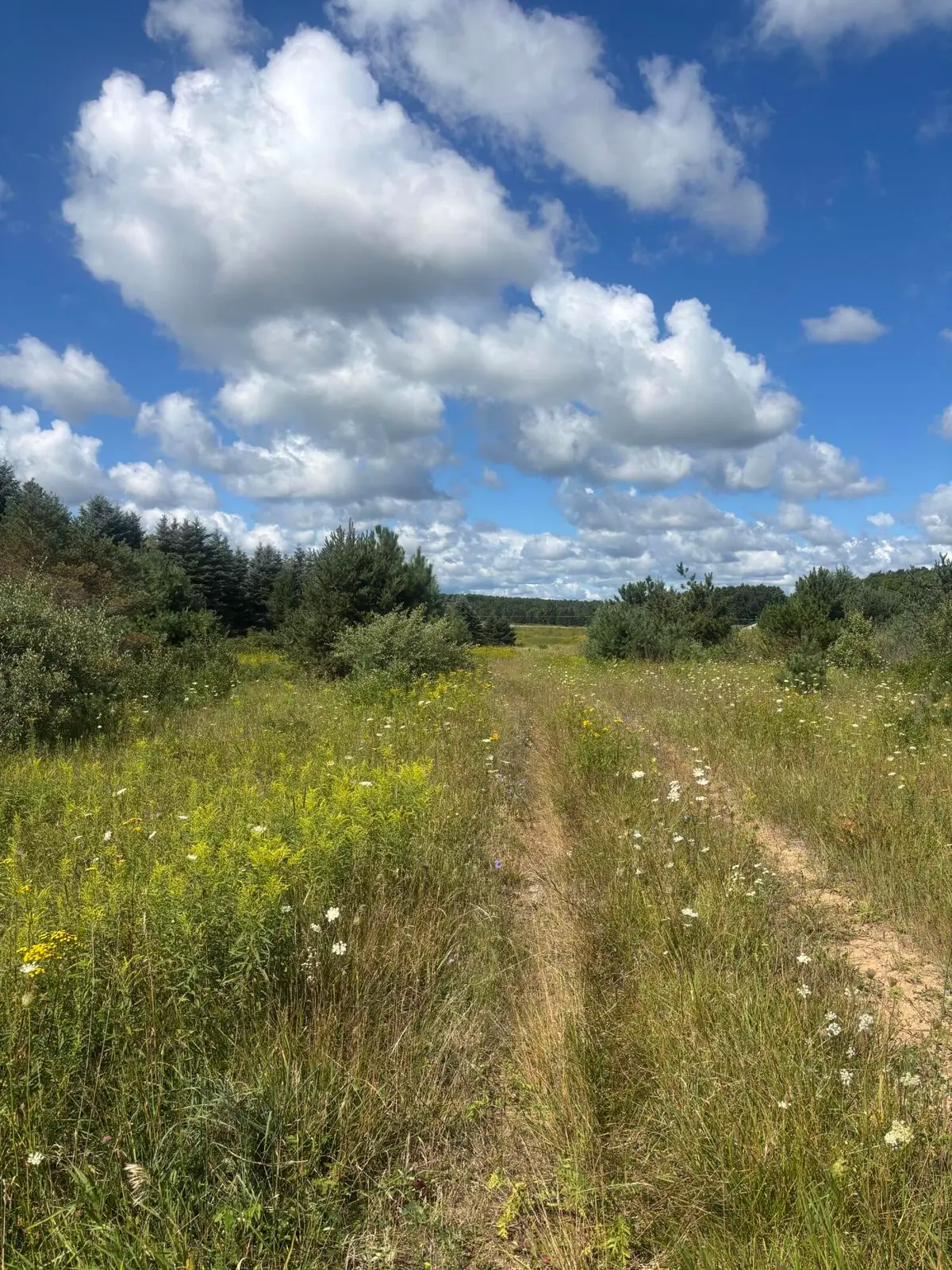 M-33, Onaway, MI 49765 - #1