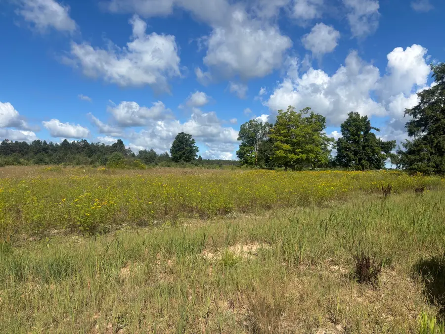 M-33, Onaway, MI 49765 - #3