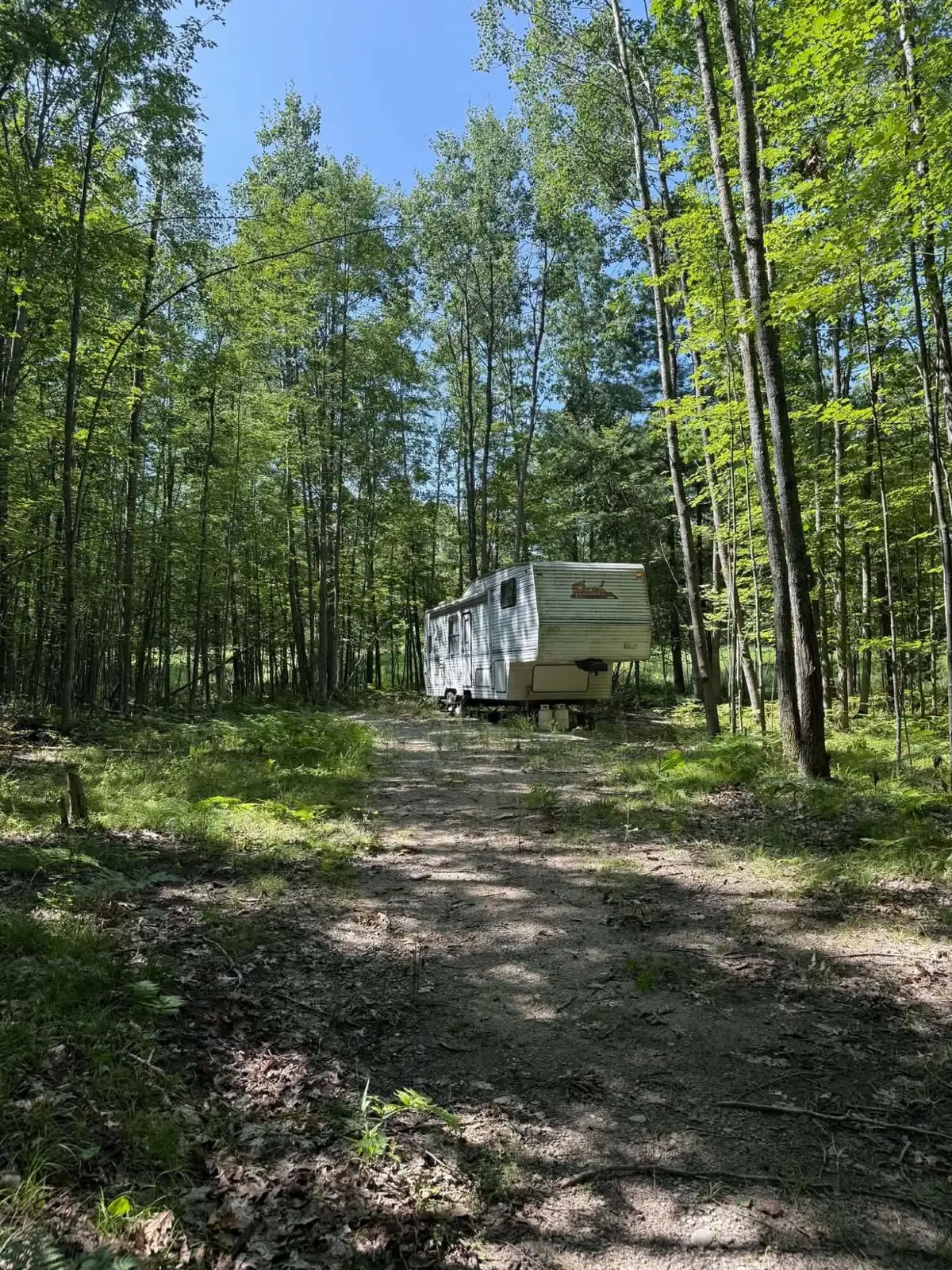 1128 N Hubbard Lake Road, Lincoln, MI 48742 - #1