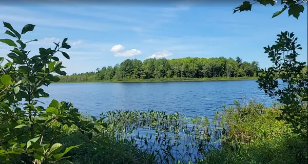 457 NE Lake Drive, Kalkaska, MI 49646
