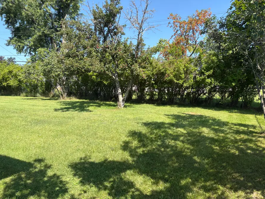 211 Princeton Avenue, Alpena, MI 49707 - #3