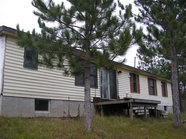 15860 Riverside Trail, Wolverine, MI 49799