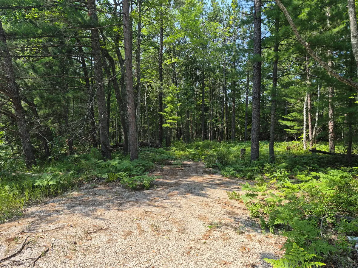 V/L Chippewa Trail, Rogers City, MI 49779 - #1