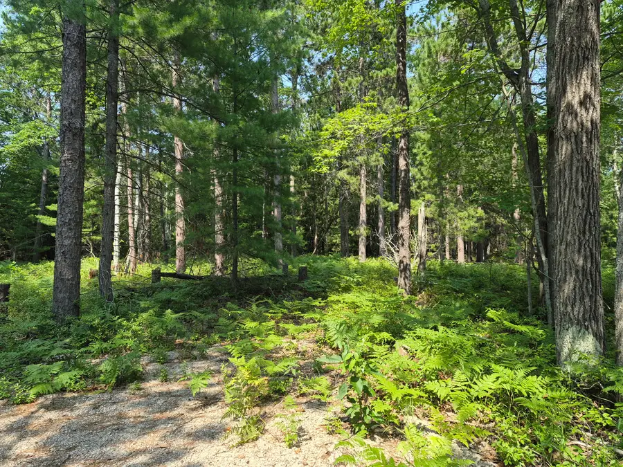 V/L Chippewa Trail, Rogers City, MI 49779 - #3