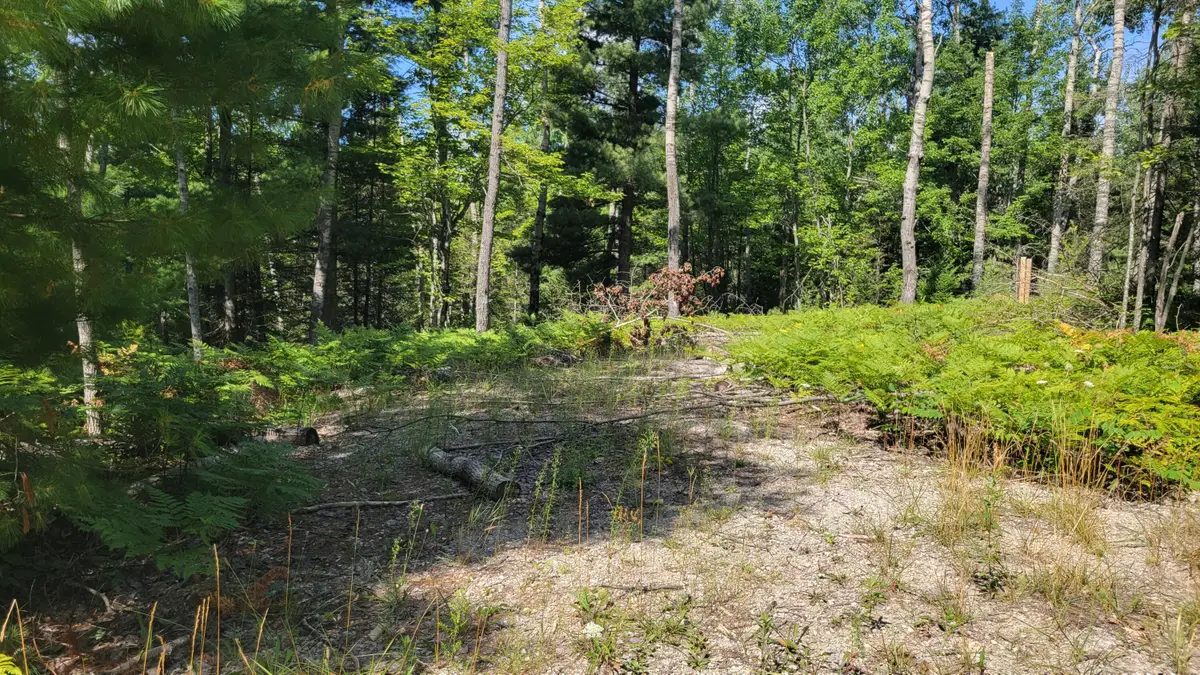 14542 W Shoreline Drive, Wolverine, MI 49799 - #1