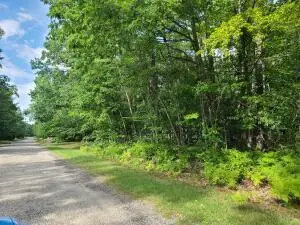 V/L Wolverine Trail, Gaylord, MI 49735