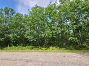 V/L Wolverine Trail, Gaylord, MI 49735 - #3