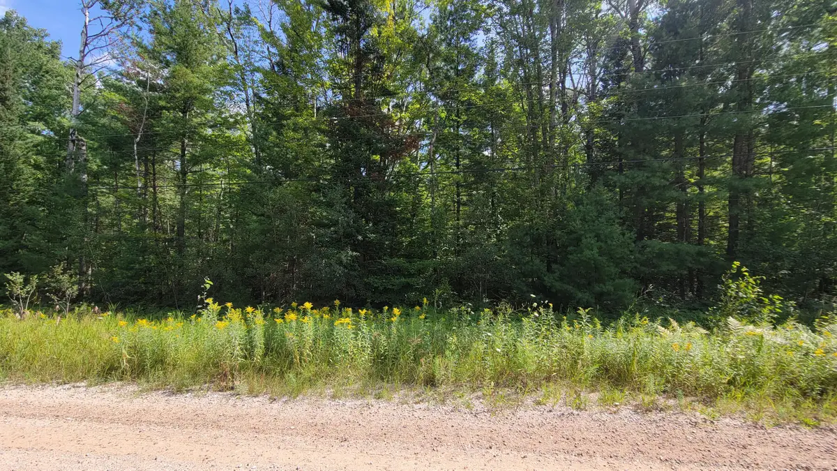 15907 Avenue Du Chalet, Wolverine, MI 49799 - #1