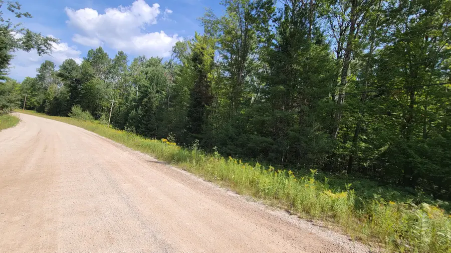 15907 Avenue Du Chalet, Wolverine, MI 49799 - #3