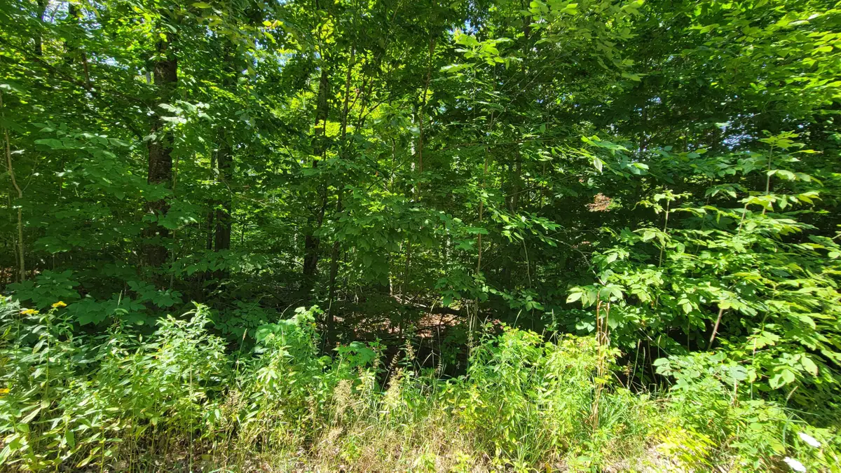 Lot 223 Beechnut Ln, Wolverine, MI 49799 - #1