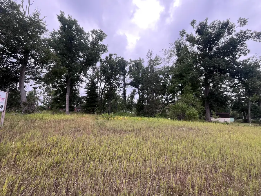 3212 Forest Road, Gaylord, MI 49735 - #3