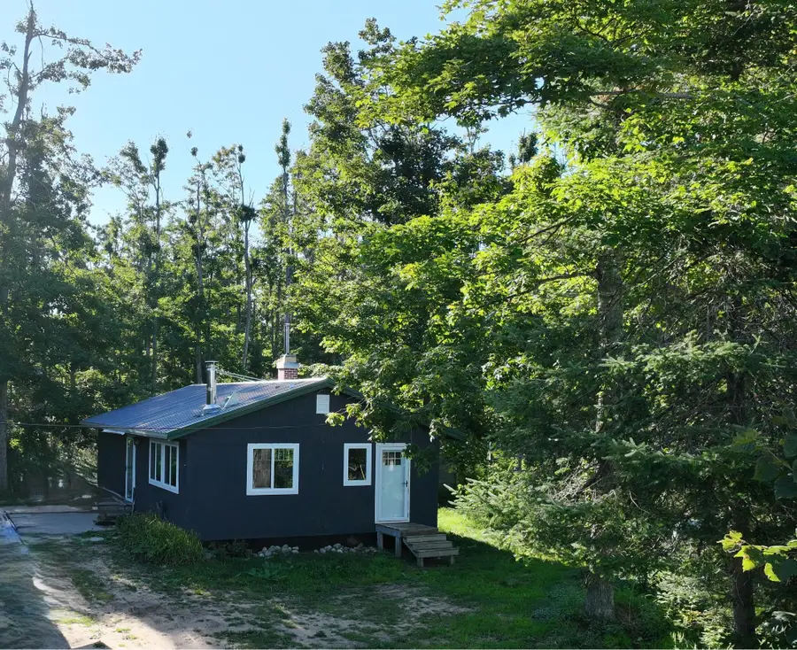 256 Mt Jack Road, Elmira, MI 49730 - #2