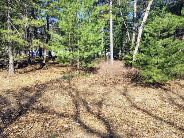 Lot 167 Deer Run Boulevard, Prudenville, MI 48651