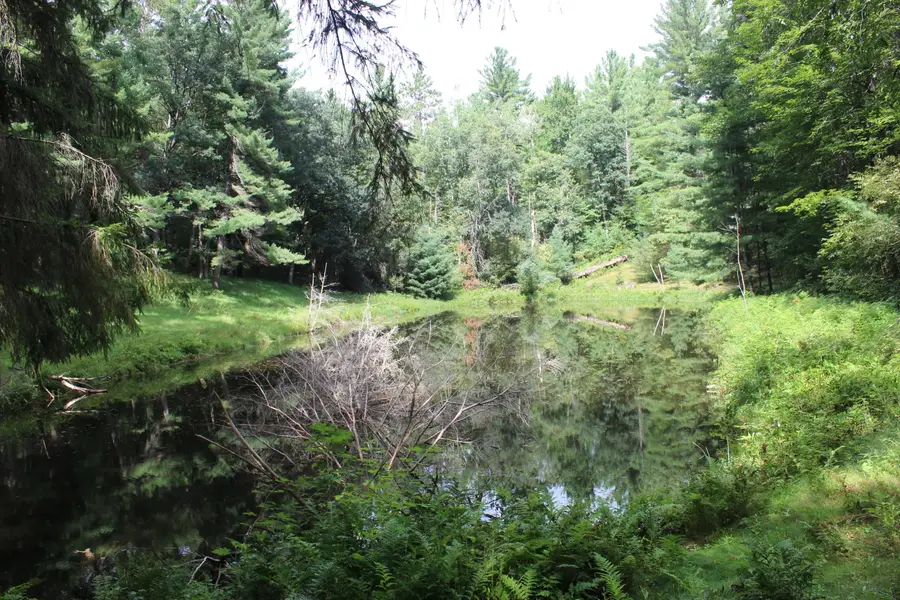 4812 Woodland Drive, Roscommon, MI 48653 - #2