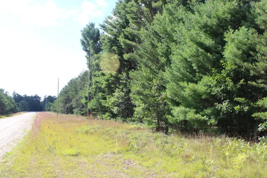 V/L Woodland Drive, Roscommon, MI 48653 - #2