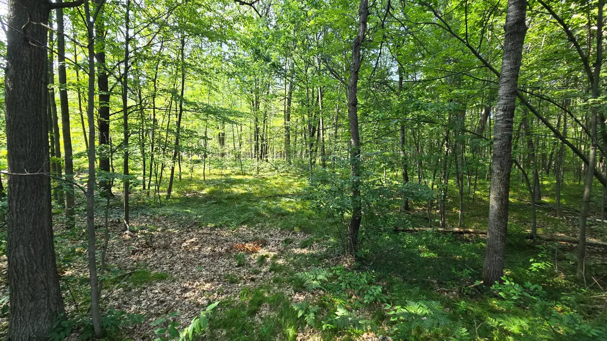 Lot 536 Dover Drive, Roscommon, MI 48653 - #1