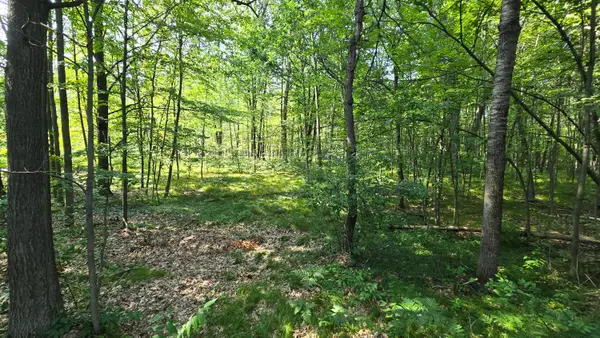 Lot 536 Dover Drive, Roscommon, MI 48653