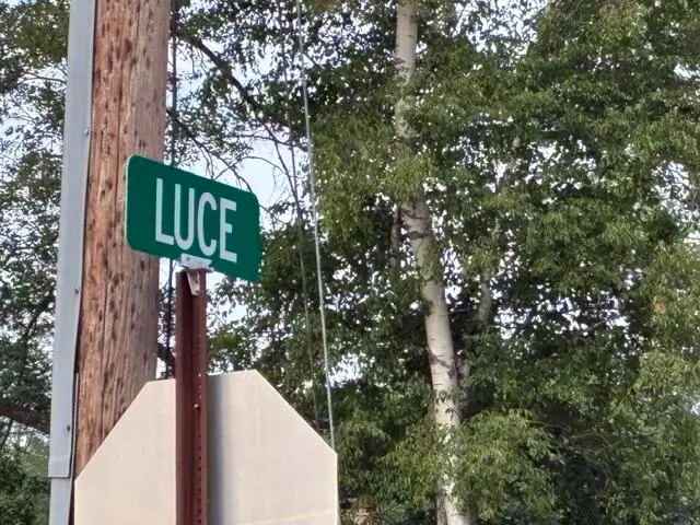 Lot 423 Luce, Houghton Lake, MI 48629 - #3
