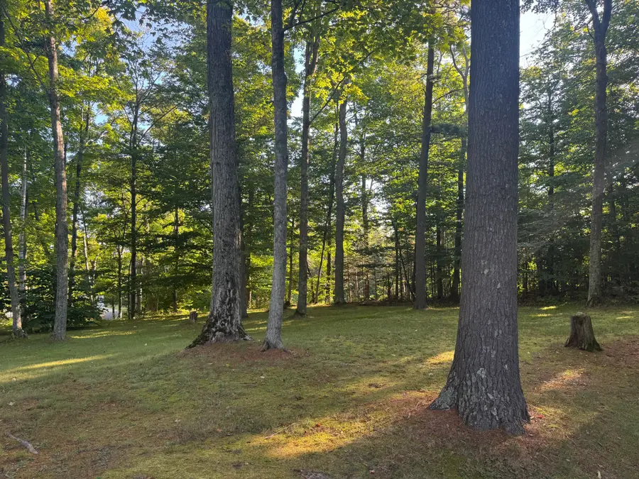 VL .65 AC Ridge Road, Mackinaw City, MI 49701 - #2