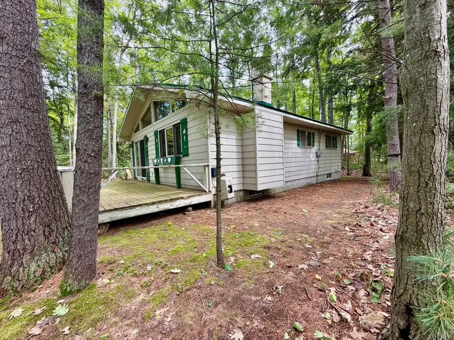 1119 Lake Ridge Drive, Gaylord, MI 49735 - #2