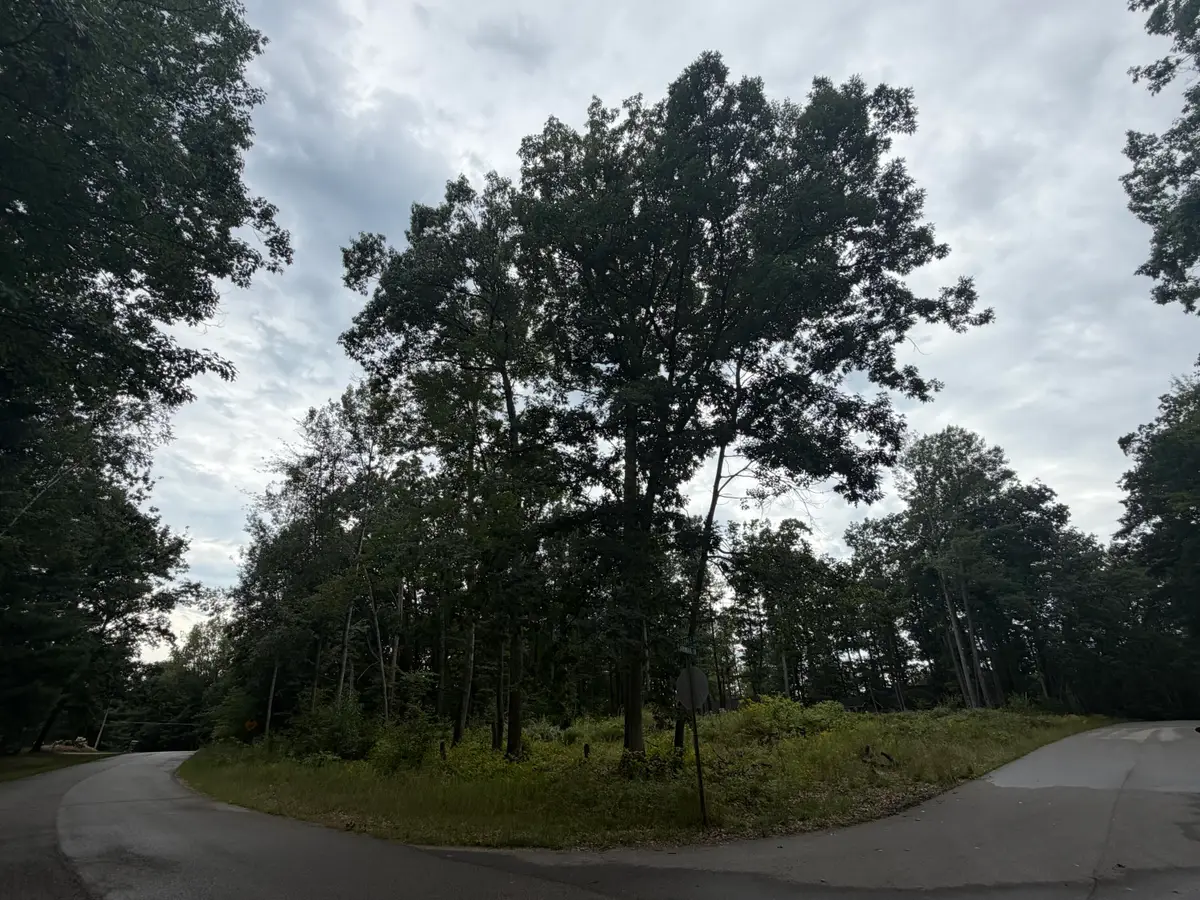 307 Ridgedale Drive, Roscommon, MI 48653 - #1