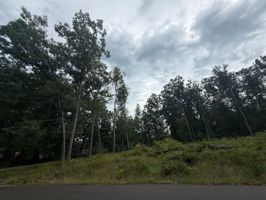 307 Ridgedale Drive, Roscommon, MI 48653 - #3