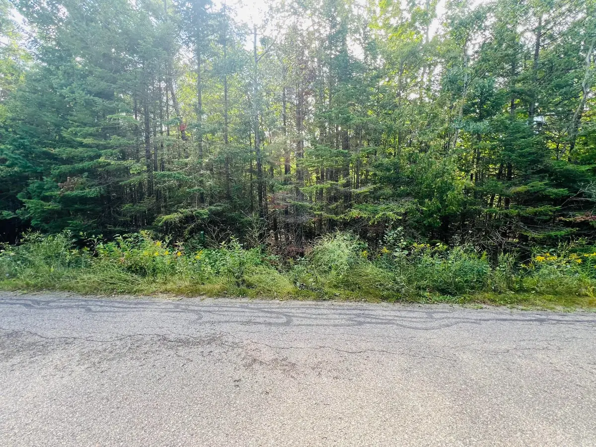 8710 Cordwood Trail, Cheboygan, MI 49721 - #1