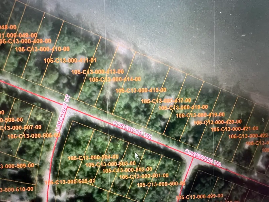 8710 Cordwood Trail, Cheboygan, MI 49721 - #2