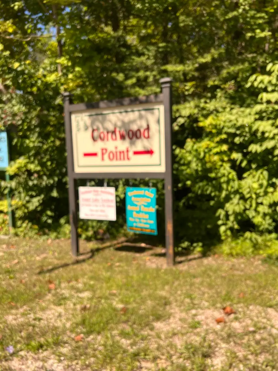8710 Cordwood Trail, Cheboygan, MI 49721 - #3