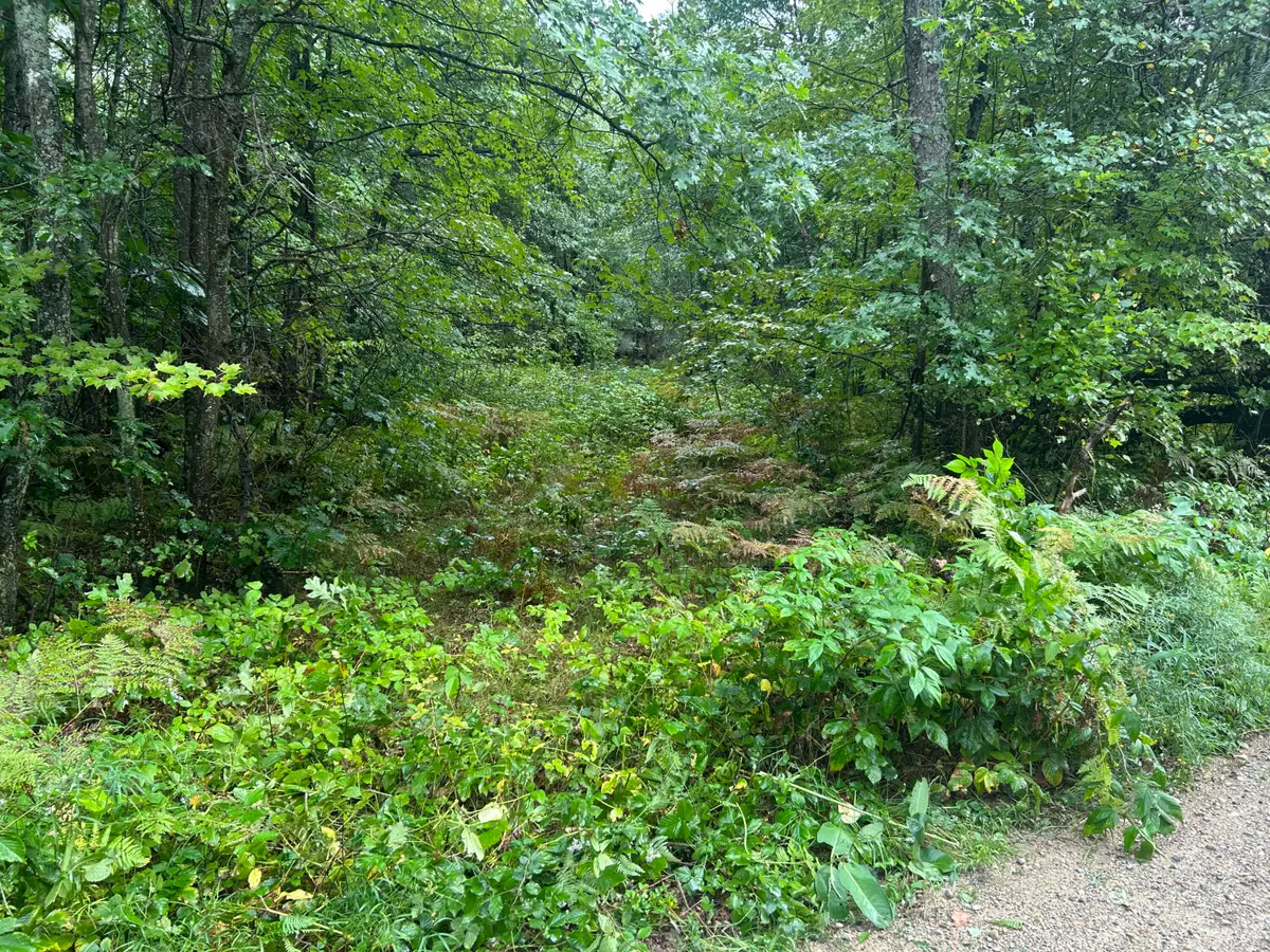 Lot 83 Homecrest Drive, Houghton Lake, MI 48629 - #1