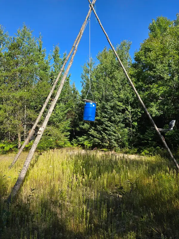 Lot 3 & 4 Huckleberry Road, Trout Lake, MI 49793