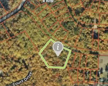 15119 Promenade Des Skieurs, Wolverine, MI 49799
