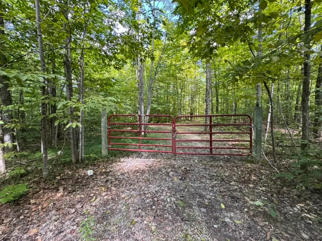 V/L Adams Road, Wolverine, MI 49799 - #1