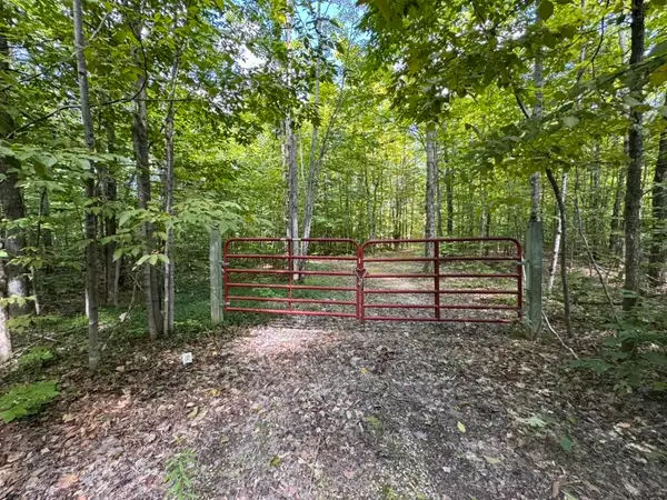 V/L Adams Road, Wolverine, MI 49799