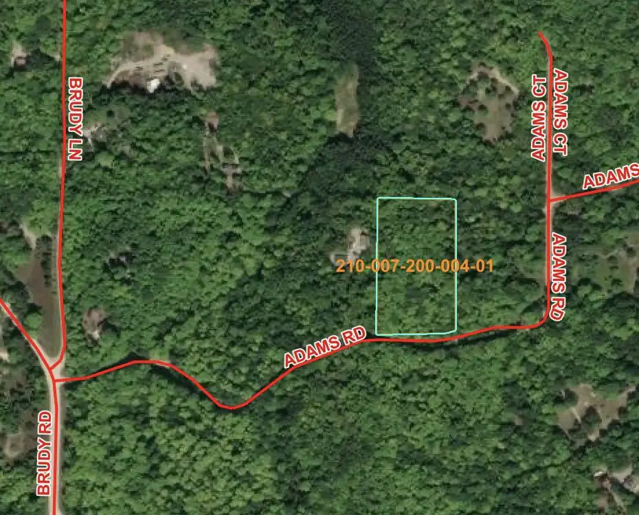 V/L Adams Road, Wolverine, MI 49799 - #2