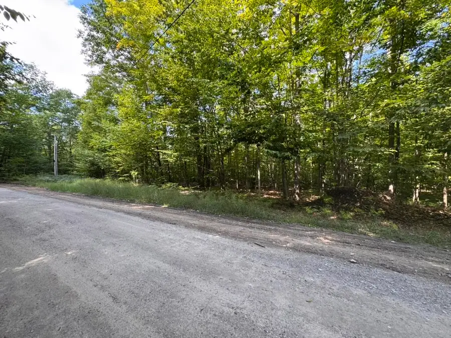 V/L Adams Road, Wolverine, MI 49799 - #3
