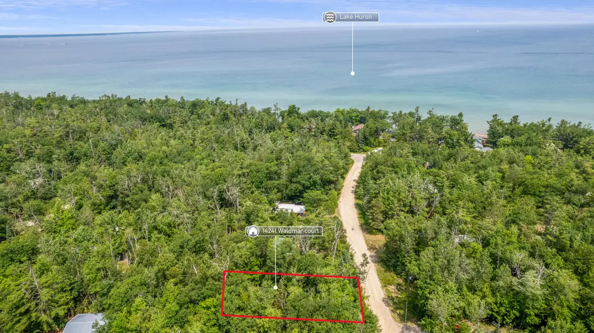 14241 Waldmar Court, Cheboygan, MI 49721 - #1