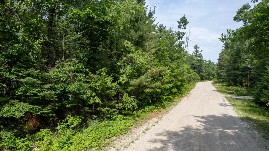 14241 Waldmar Court, Cheboygan, MI 49721 - #3