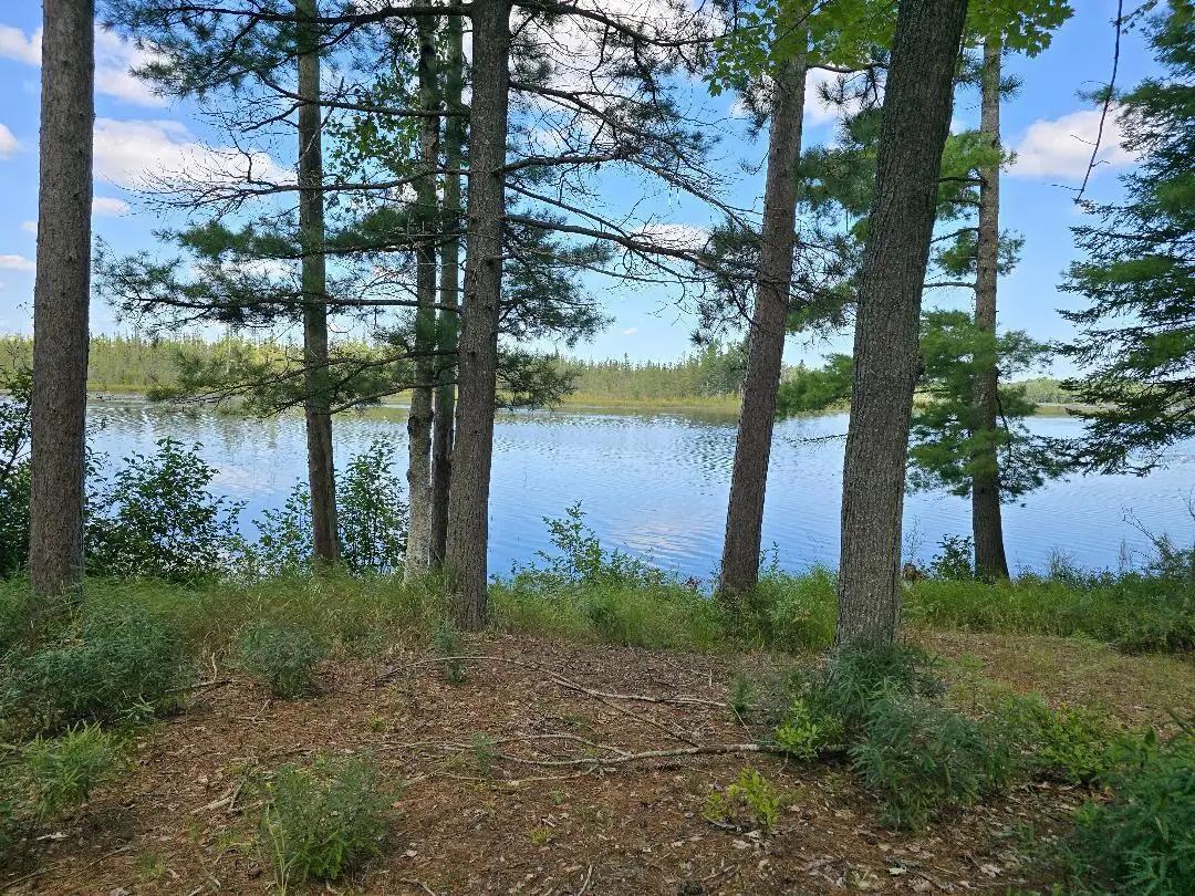 9394 West Highway, Hawks, MI 49743 - #1