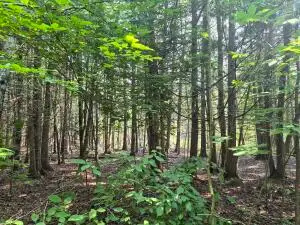 22514 U.s. 23, Presque Isle, MI 49777 - #3