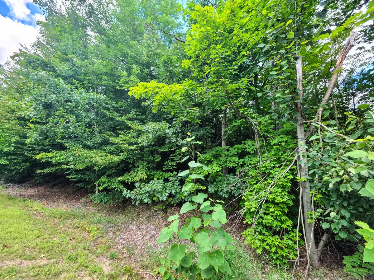 Lot 56 Deepwoods Drive, Gaylord, MI 49735 - #1