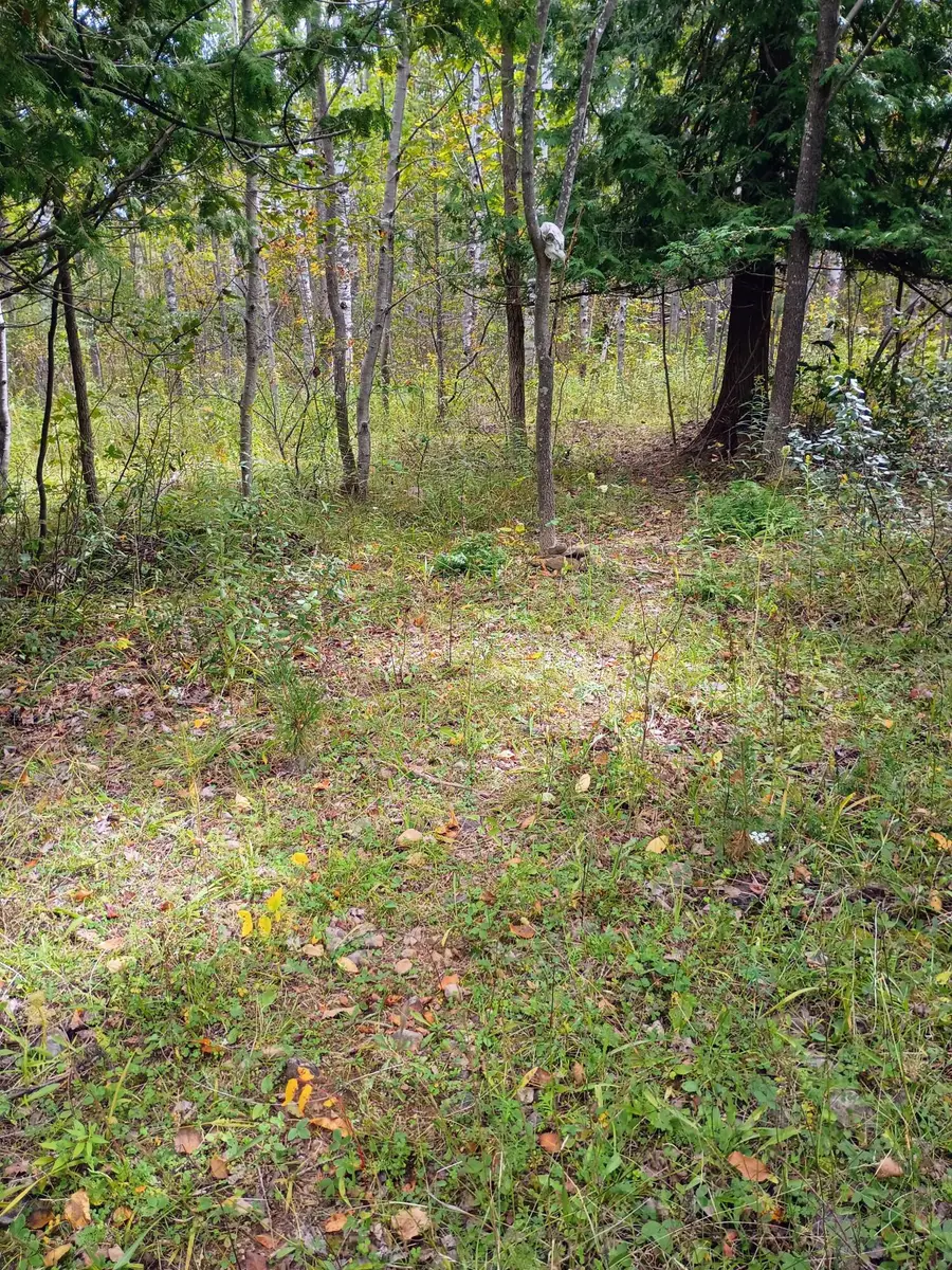 V/L 6.12AC W Long Lake Road, Alpena, MI 49707 - #2