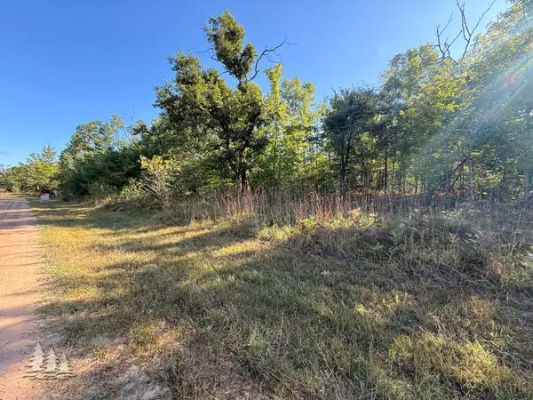 5954 Neumann Road, Lewiston, MI 49756
